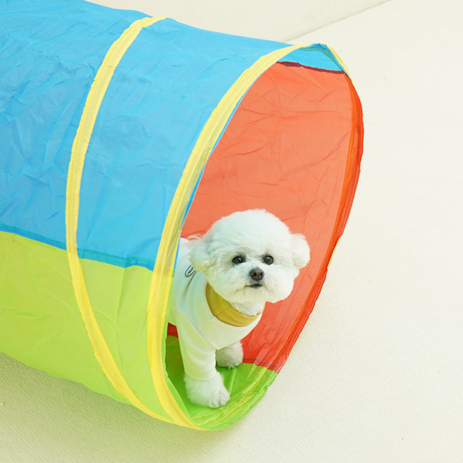 레드퍼피 강아지 티노플레이 터널텐트, 1개