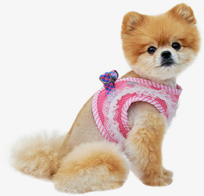 RealPet 강아지 매쉬 레이스 하네스, 핑크, 1개