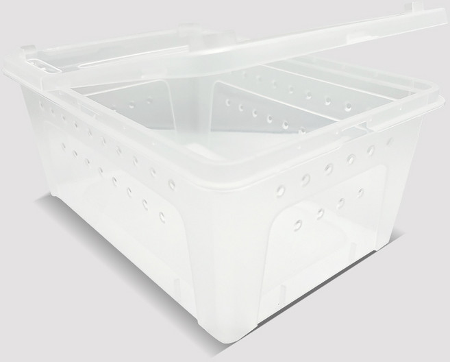 노모이펫 H5 파충류 양서류 피딩박스 라지 32 x 22 x 15 cm, 투명, 1개