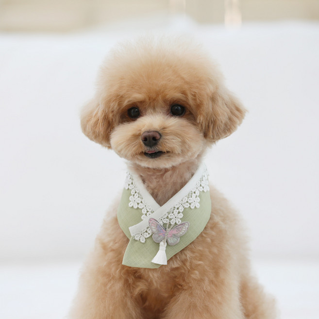 리토가토 반려동물 미르 한복 케이프 XL, 연두, 1개