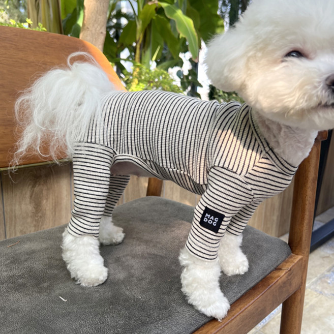 매그독 반려동물 윌리 스트라이프 올인원, 그레이, 1개