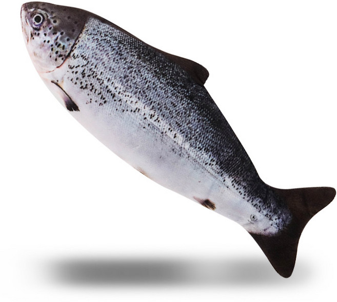 딩동펫 움직이는 파닥피쉬 장난감, 연어, 1개