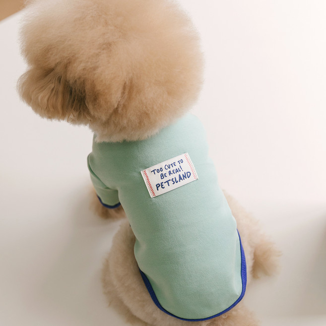 펫츠랜드 강아지 큐티라벨 티셔츠, 민트, 1개