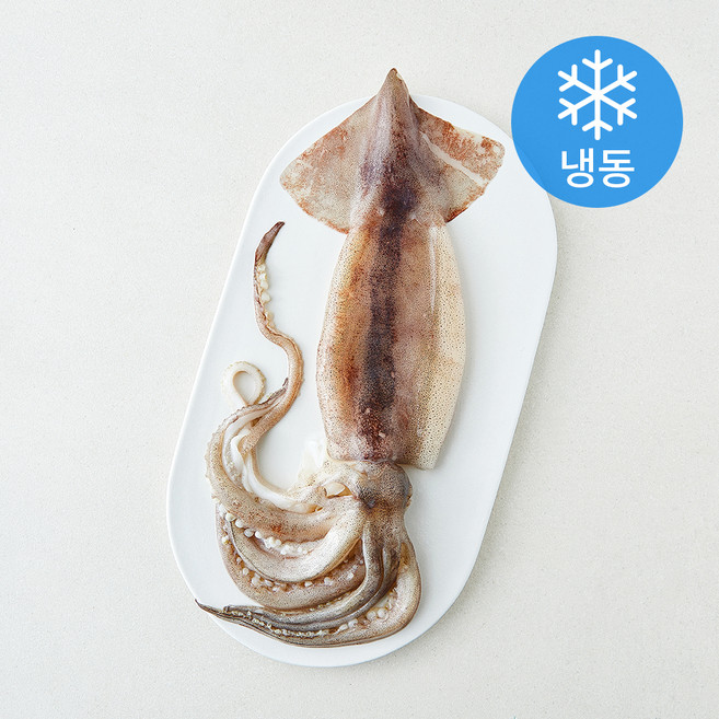 오바다 원양산 통오징어 (냉동), 1개, 300g(왕특)