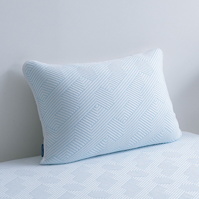 프로텍트어베드 듀라웰 알래스카 냉감 베개커버