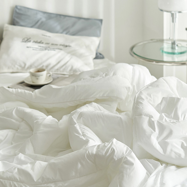DECOVIEW NEW 如鵝絨般舒適可水洗被芯, 白色
