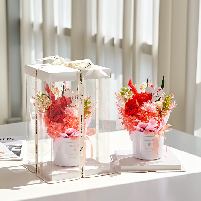 메종드플로레 시들지 않는 프리저브드 생화 화분형 꽃다발, 레드와인