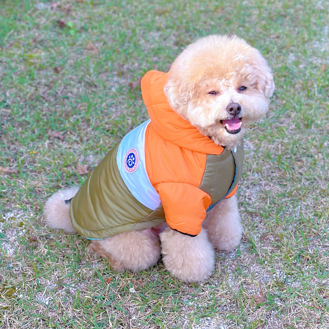 MAAH 강아지 멍끌레오 후드 패딩 하네스 올인원, 오렌지, 1개