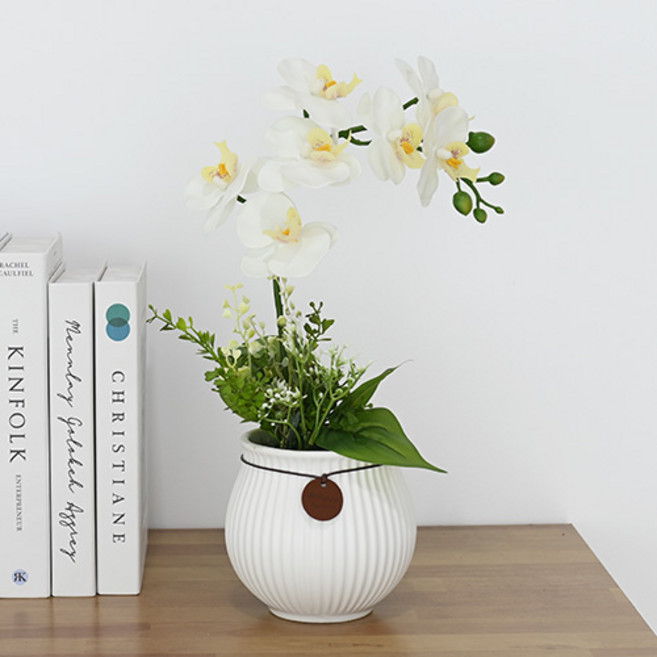 Garden in the City 人造蝴蝶蘭裝飾品, 1個, 白色