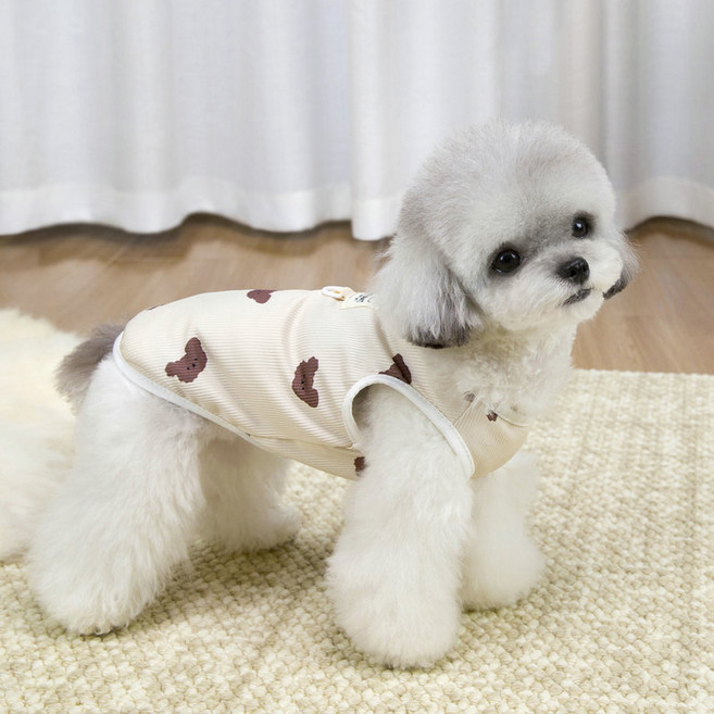 파스텔펫 반려동물 복실 곰돌이 티셔츠, 베이지, 1개