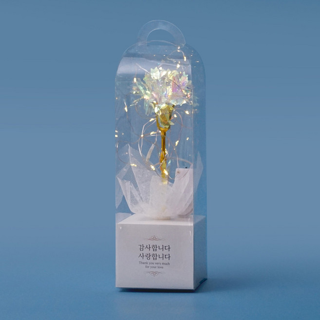 morningscent 조화 반딧불 카네이션 + 조명 세트, 홀로그램, 1개
