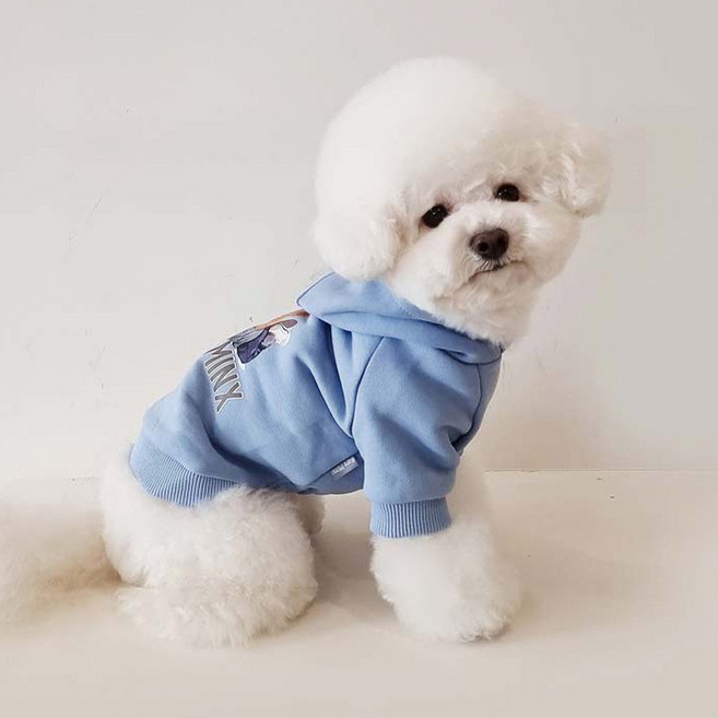 레어밍스 강아지 후드탑, 스카이블루, 1개