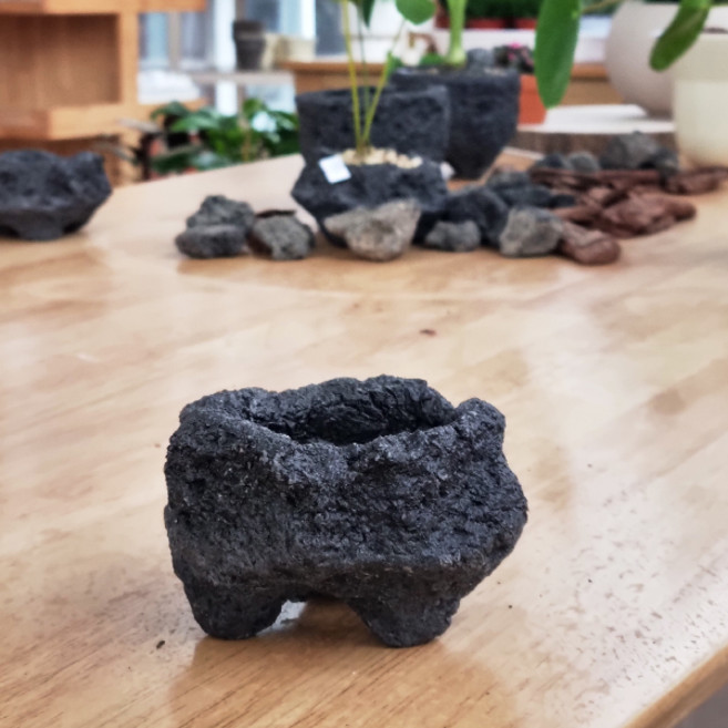 모리앤 화산석 돌화분, 1개