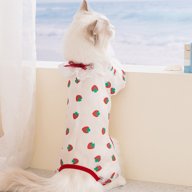 아티펫 반려동물 통기성 메쉬 패턴 올인원, 레드, 1개