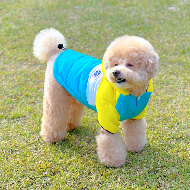 MAAH 강아지 멍끌레오 후드 패딩 하네스 올인원, 옐로우, 1개