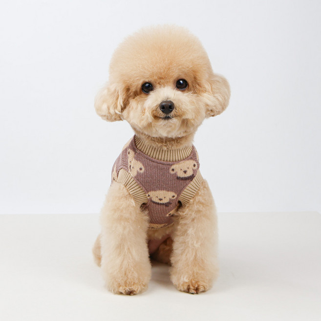 그루밍독 강아지 소프트 뭉뭉 가을 니트조끼, 브라운, 1개