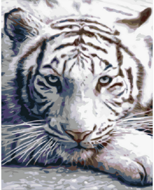 모모픽스페인팅 DIY 명화그리기 40 x 50 cm, 백호, 1개