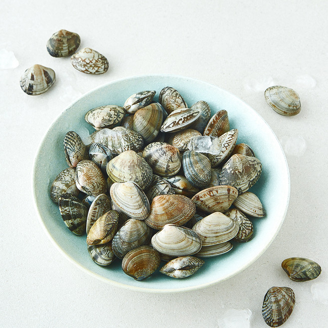 바다림 서해안 생물 참바지락 (냉장), 1개, 1kg