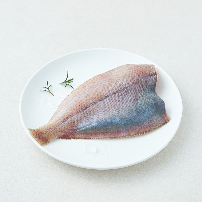 미감어보 국내산 손질 효온처리 생물 가자미 (냉장), 1개, 240g