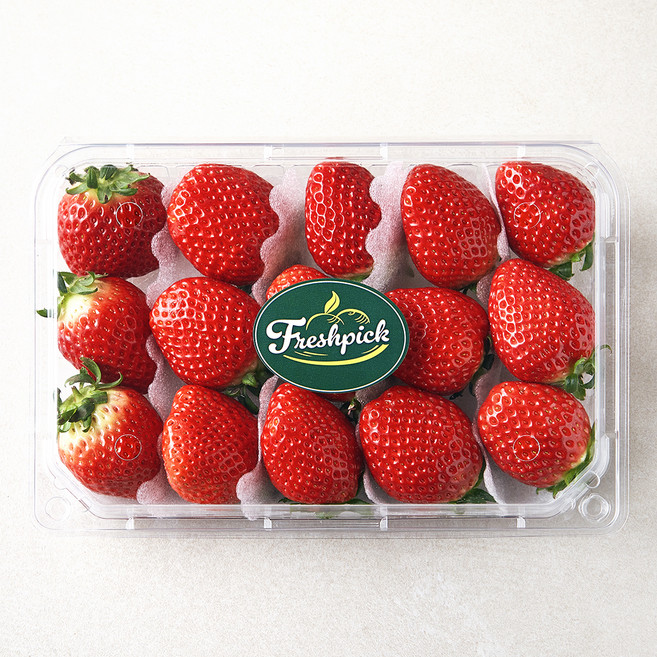 프레시픽 한단 금실딸기 대과, 500g, 1개