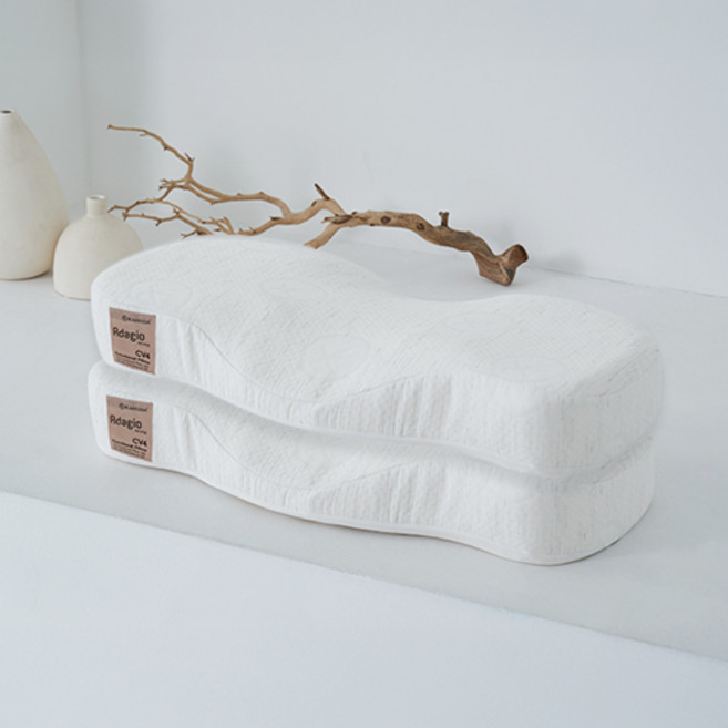 가누다 골드라벨 아다지오 경추베개, 화이트, 2개