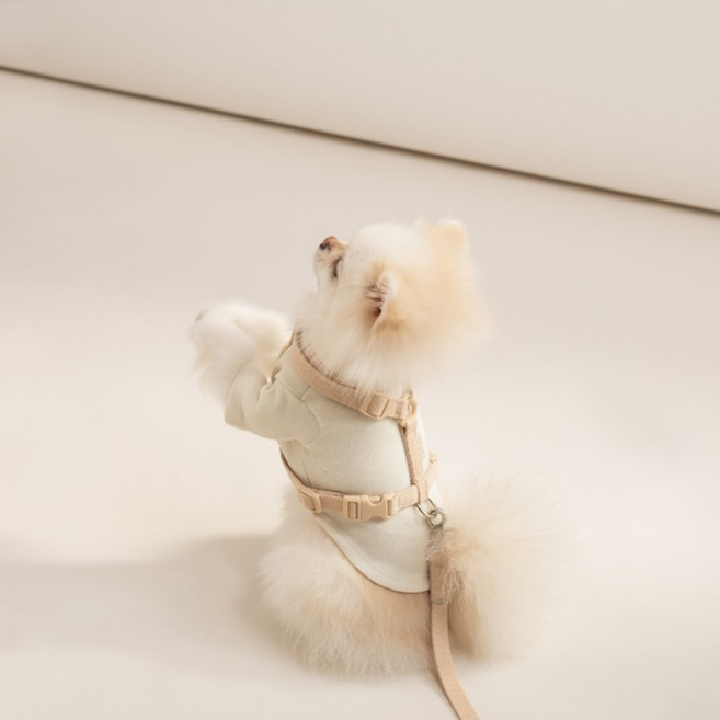 힛찌 강아지 목버클 하네스, 네츄럴베이지, 1개