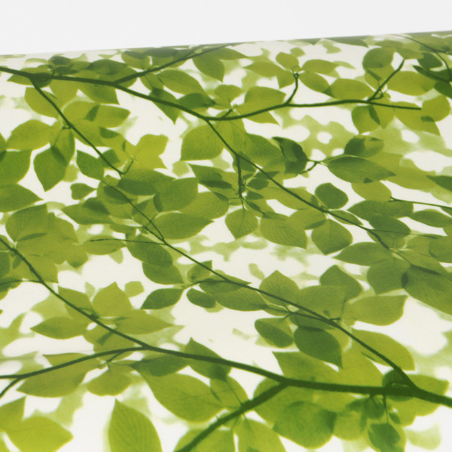 시트몰이 창문용 접착 시트지, 싱그러운 숲속 정원