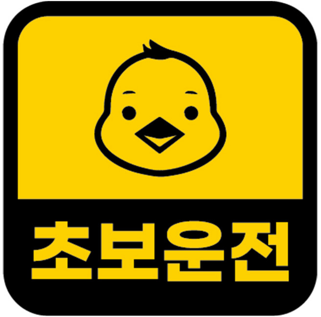 카마존 초보운전 반사 자석 스티커 정사각형타입, 병아리, 1개