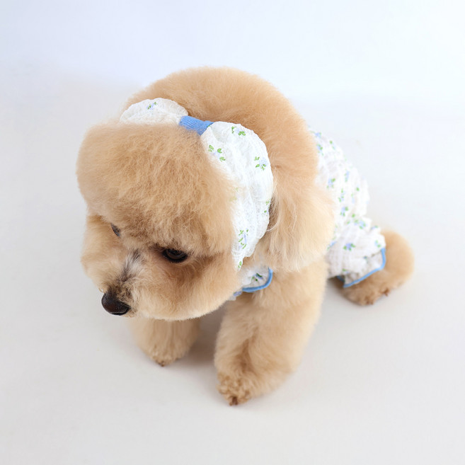 그루밍독 강아지 피오니 헤어밴드, 1개, 블루