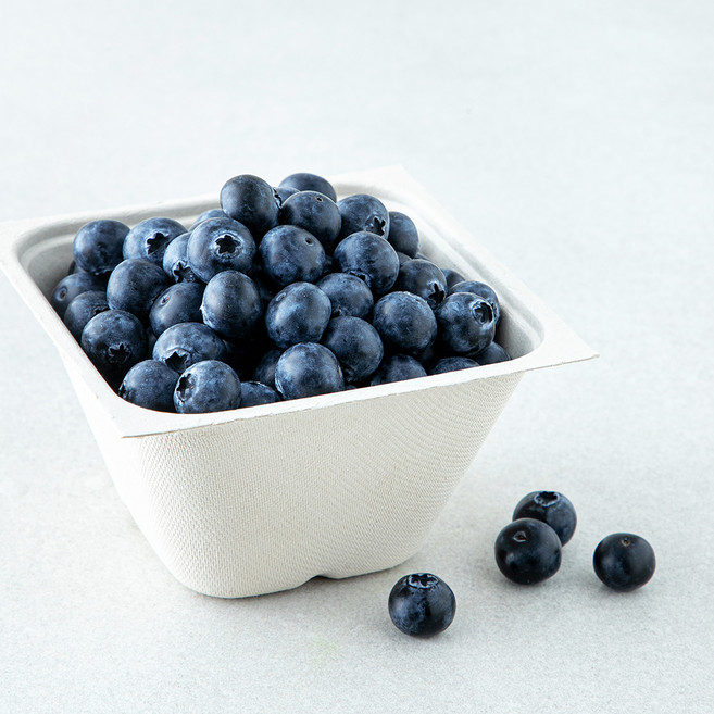 아주마 GAP 인증 산지직송 인디고 블루베리, 1개, 250g