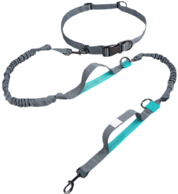 펫츠몬 강아지 더블 핸들 핸즈프리 리드줄, 그레이, 1개