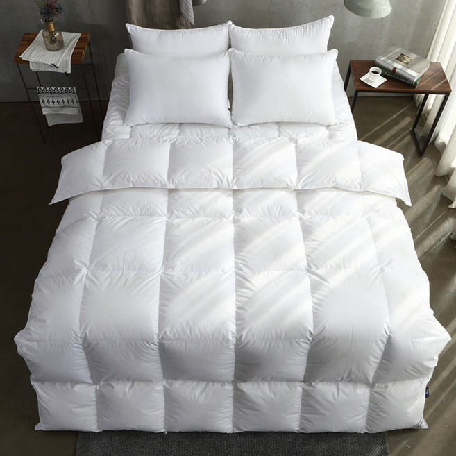 라셀렌 헝가리80 순면 구스이불 500g, 화이트