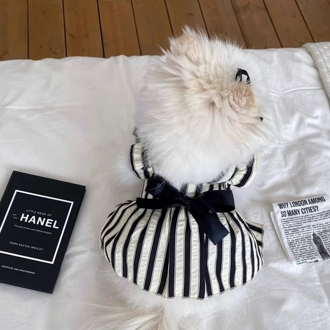 퍼피드림 반려동물 스위티 스트라이프 원피스 10024, 흑백 줄무늬, 1개