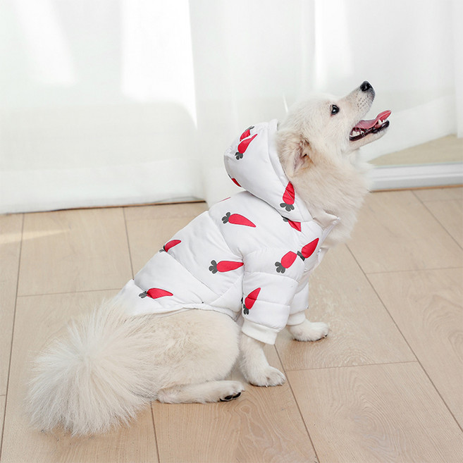 요기쏘 반려동물 당근 패딩, 혼합색상, 1개