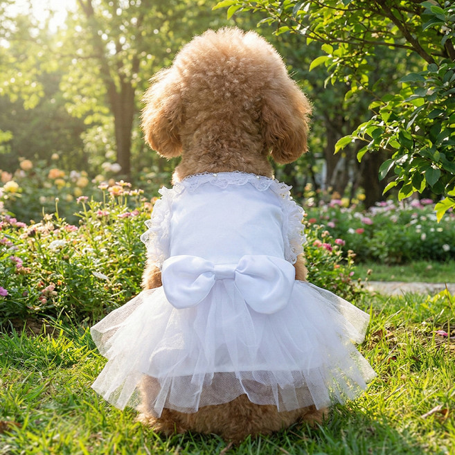 웨이비데이즈 반려동물 웨딩 프릴 비즈 드레스 W265-0102, 화이트, 1개