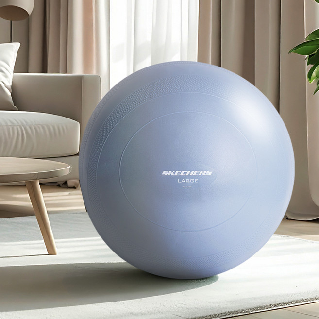스케쳐스 고중량 안티버스트 짐볼 1.3kg, 더스티 블루