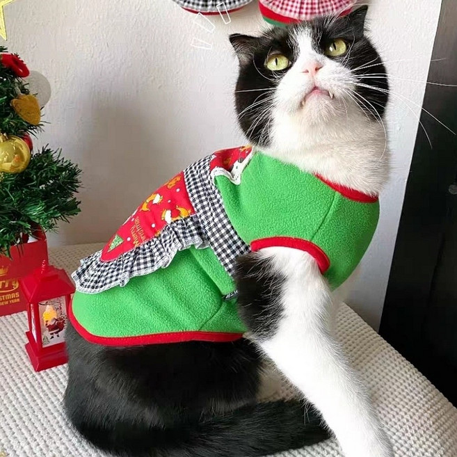 코코스튜디오 반려동물 기모 메리 에이프런 티셔츠, 그린, 1개