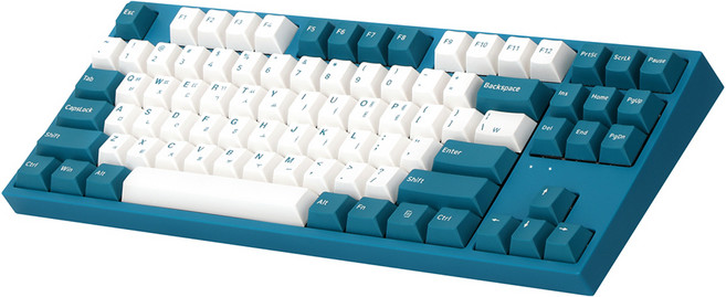 콕스 게이트론 이색사출 기계식 유선 텐키리스 키보드, 터키쉬, CK87 PBT, 갈축