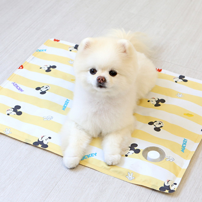이츠독 반려동물 디즈니 프레쉬 쿨젤 매트, 미키 옐로우, 1개