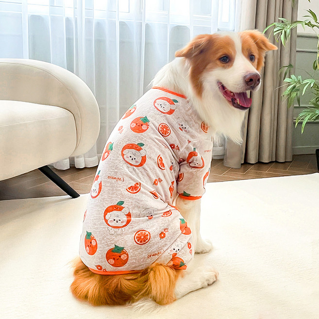 파스텔펫 강아지 후르츠 쿨 올인원, 오렌지, 1개