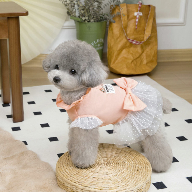 랜보어 반려동물 도트레이스 원피스, 코랄, 1개