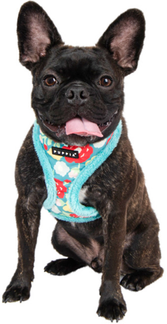 퍼피아 반려동물 리사 산책 하네스 A형 HA1976, 아쿠아, 1개