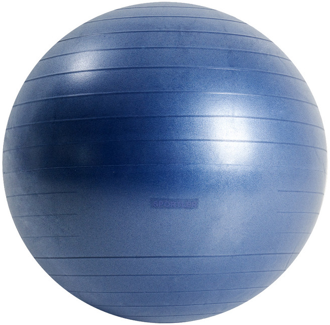 스포틀러 안티버스트 짐볼, 블랙베리퍼플