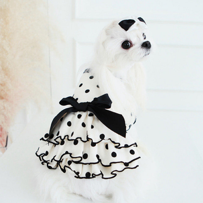 반려동물 레블리 왕 리본 원피스, 화이트, 1개
