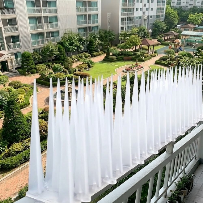 레몽크리프 비둘기퇴치 버드스파이크 투명 10cm, 5개