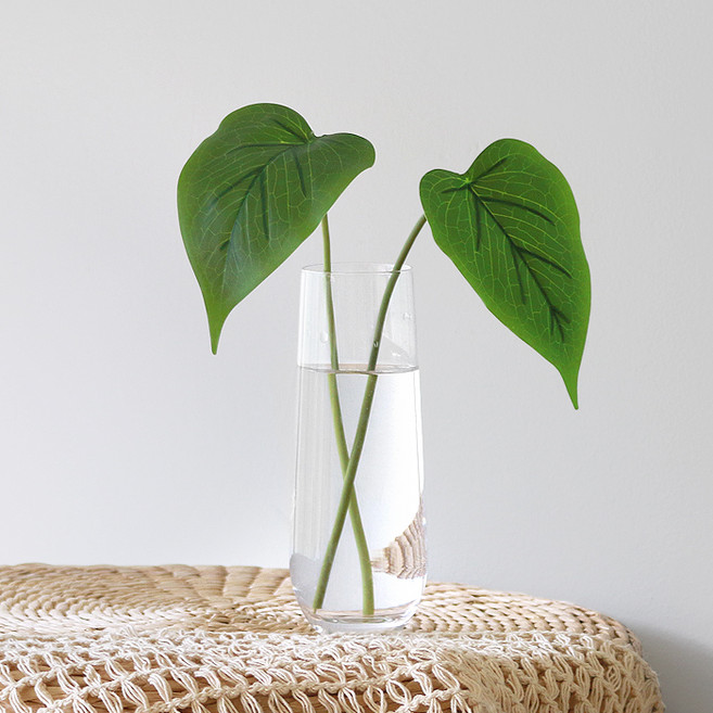 블루밍앤미 스몰 카라 조화 2p + 크리스탈 유리병 세트, 그린(조화), 투명(유리병)