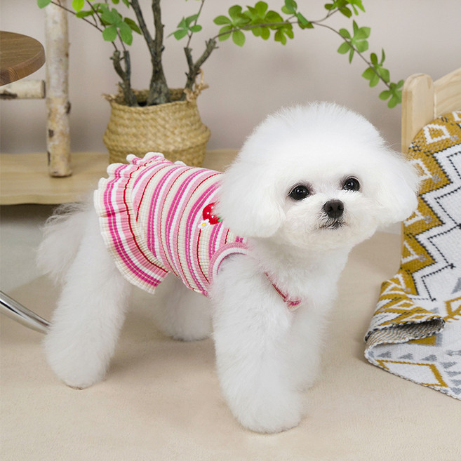 파스텔펫 반려동물 딸기 스트라이프 원피스, 핑크, 1개