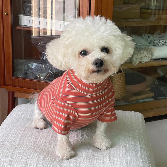 바이담수미 강아지 마틴 폴라 티셔츠, 브릭레드