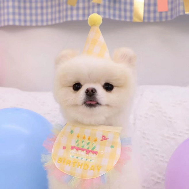 Lowid 寵物生日派對尖頂帽 + 圍兜組, 黃色, 1套