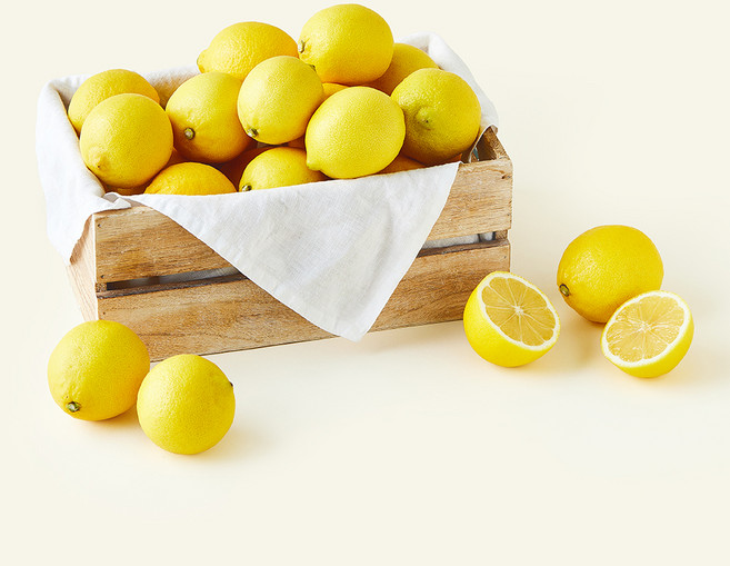 제이드가든 유기농 인증 제주 레몬, 3kg, 1개